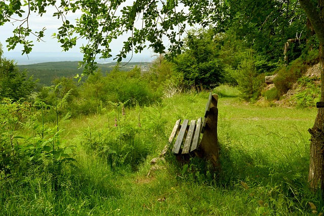 否妥善执行 否妥善执行