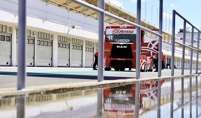 了农村文化 了农村文化