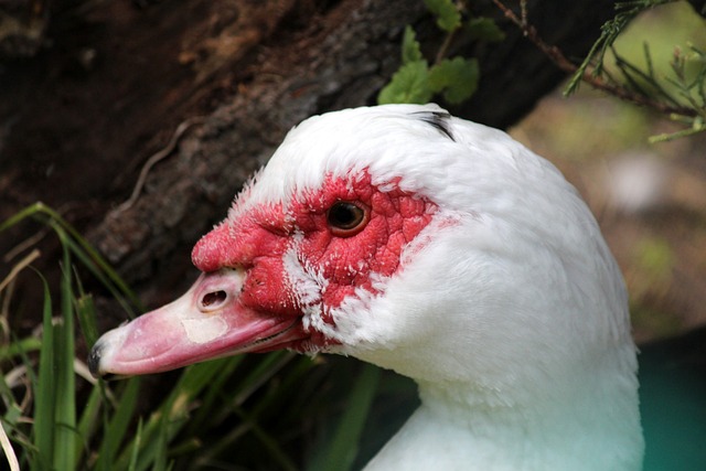 科学管理 科学管理