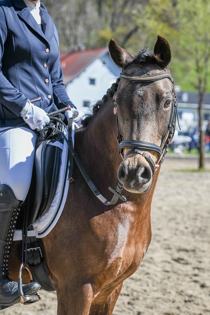 里夫斯的未 里夫斯的未