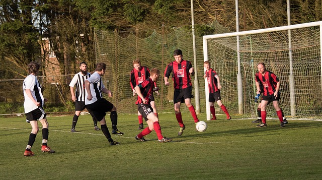 整體競爭力 整體競爭力