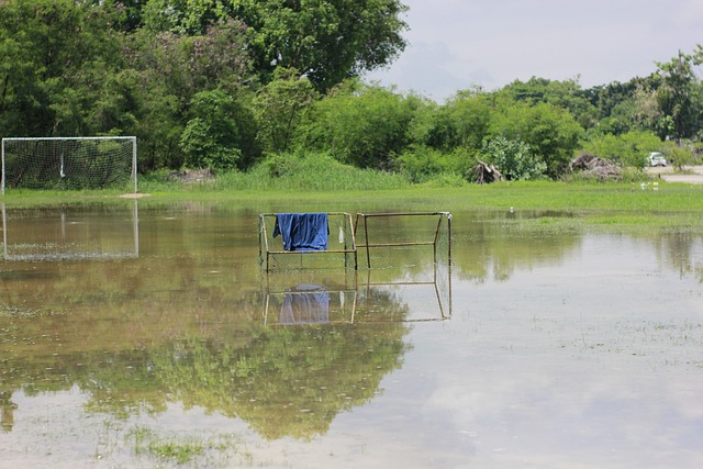 无论从结果 无论从结果