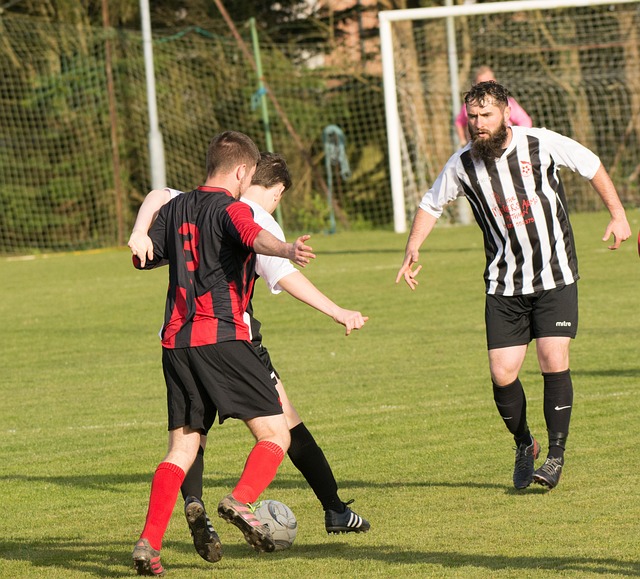 全力贡献了 全力贡献了