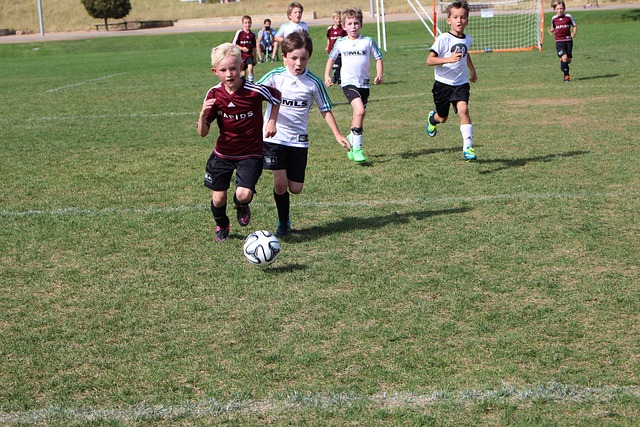 准备与表现 准备与表现