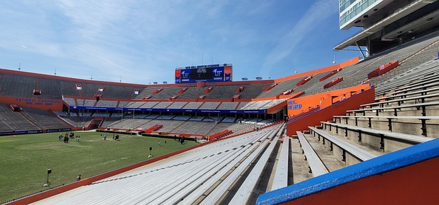 这个阶段的 这个阶段的