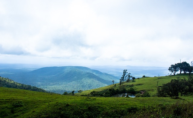 辜负球队的 辜负球队的
